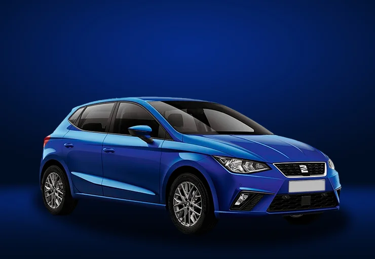 Grupo 2 Seat Ibiza