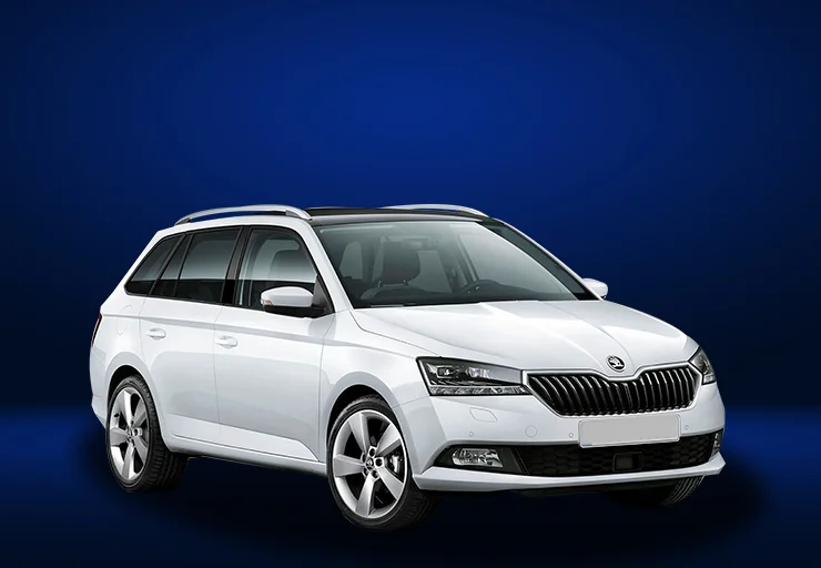 Grupo 2 Skoda Fabia